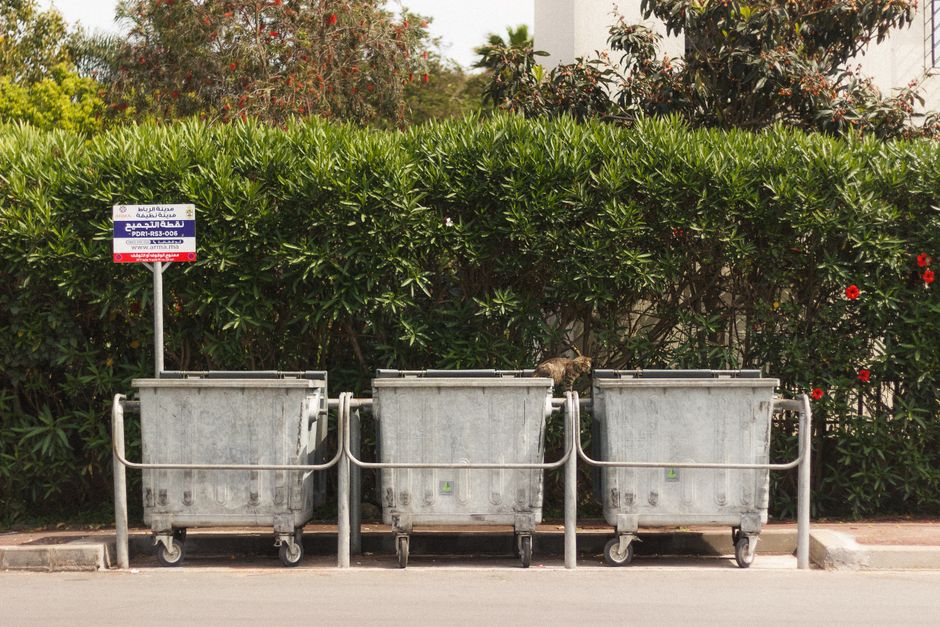 House clearance service in Kensington