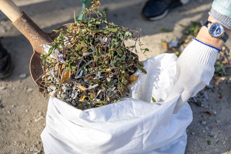 Garden waste and cut plant trimmings being loaded into a rubble sack during a garden clearance