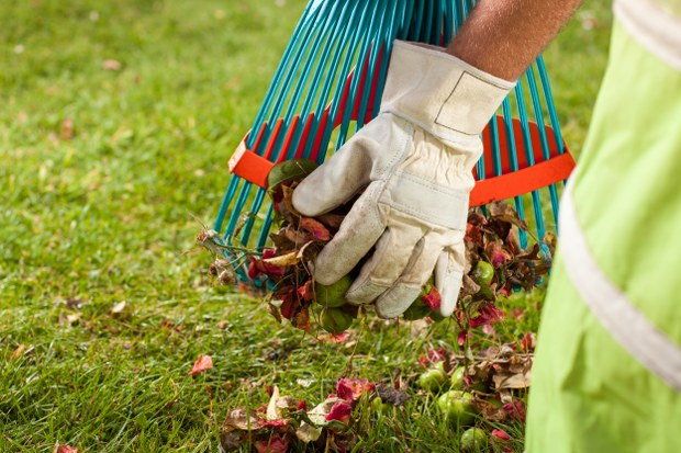garden waste collection