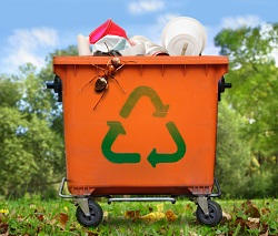 commercial waste & removal CR2
